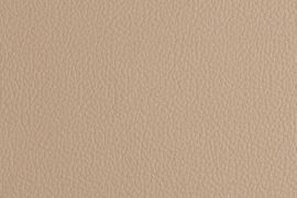 THUNDERBIRD BEIGE