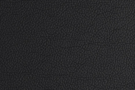 THUNDERBIRD BLACK