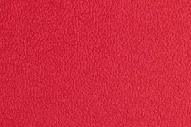THUNDERBIRD RED