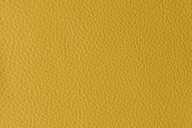 THUNDERBIRD YELLOW