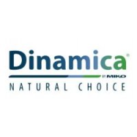 DINAMICA