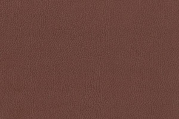 MERCEDES MB-TEX BRONZE