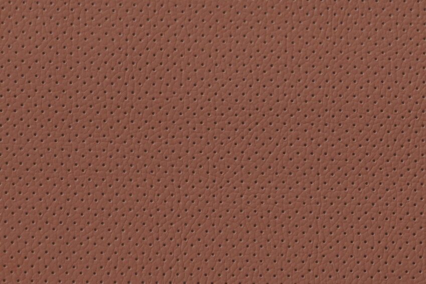 IMG_20250112_0019 IMG_20250112_0019