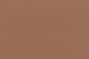 DAKOTA LIGHT BRONZE