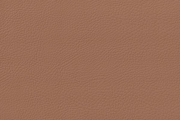DAKOTA LIGHT BRONZE