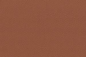 DAKOTA LIGHT COGNAC