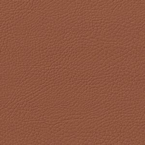 DAKOTA LIGHT COGNAC
