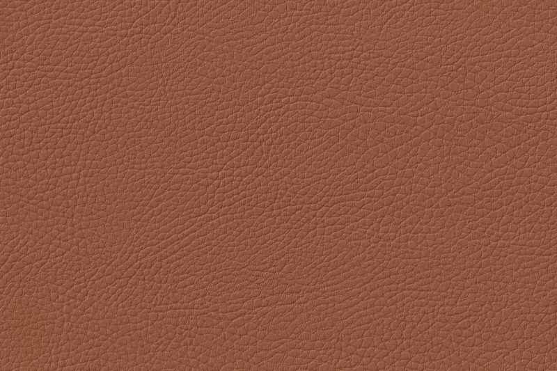IMG_20250112_0024 DAKOTA LIGHT COGNAC