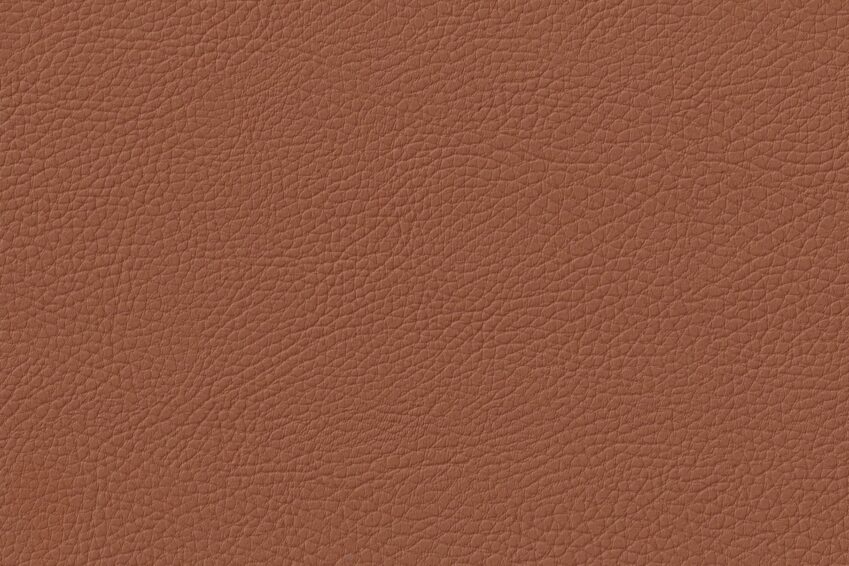 IMG_20250112_0024 IMG_20250112_0024