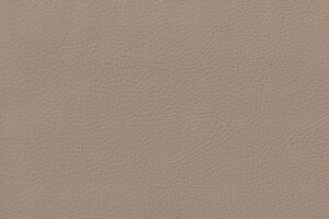 DAKOTA BEIGE