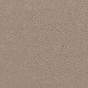 DAKOTA BEIGE
