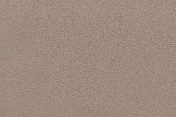 DAKOTA BEIGE