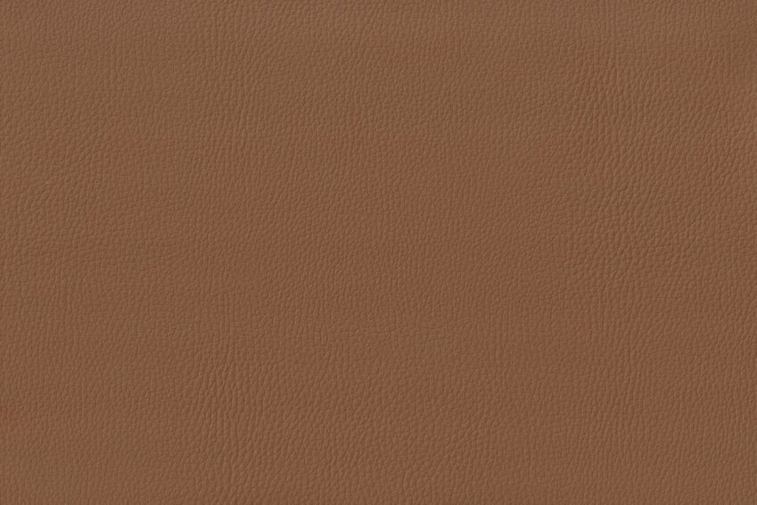 dark-carmel dark-carmel