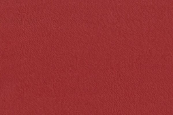 AQUAMARINE DUSTY RED
