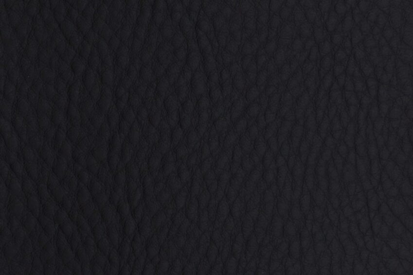 Grizzly Black Grizzly Black