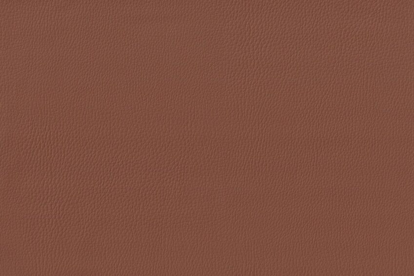 saddle-brown