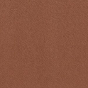 MODENA COGNAC