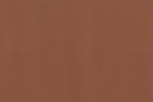 MODENA COGNAC