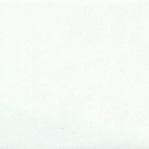 PLAIN / OFF WHITE