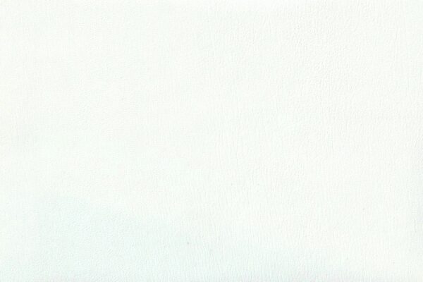 PLAIN / OFF WHITE