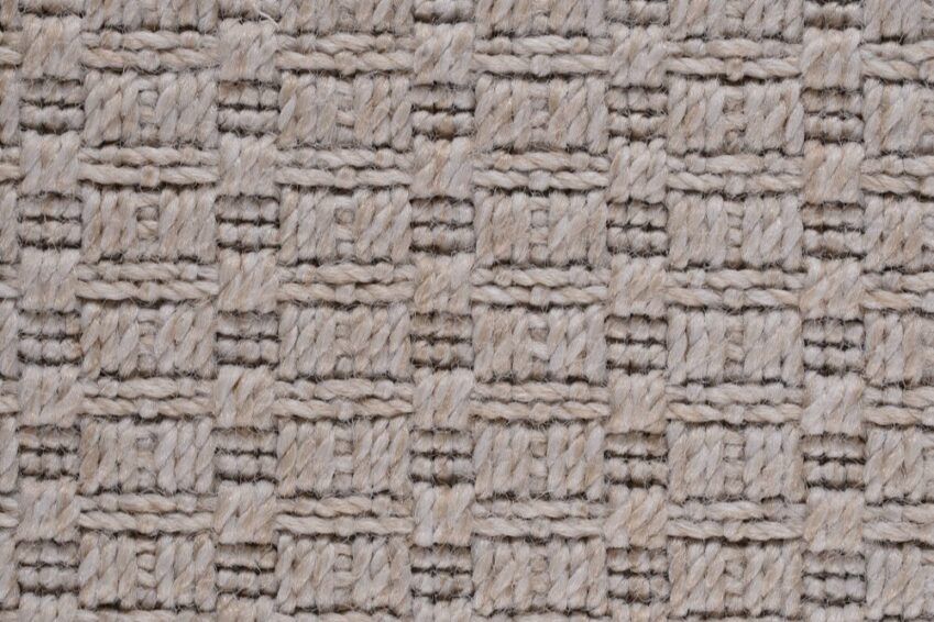 01 OASI ECRU 800 E1699271187593 01 OASI ECRU 800 E1699271187593