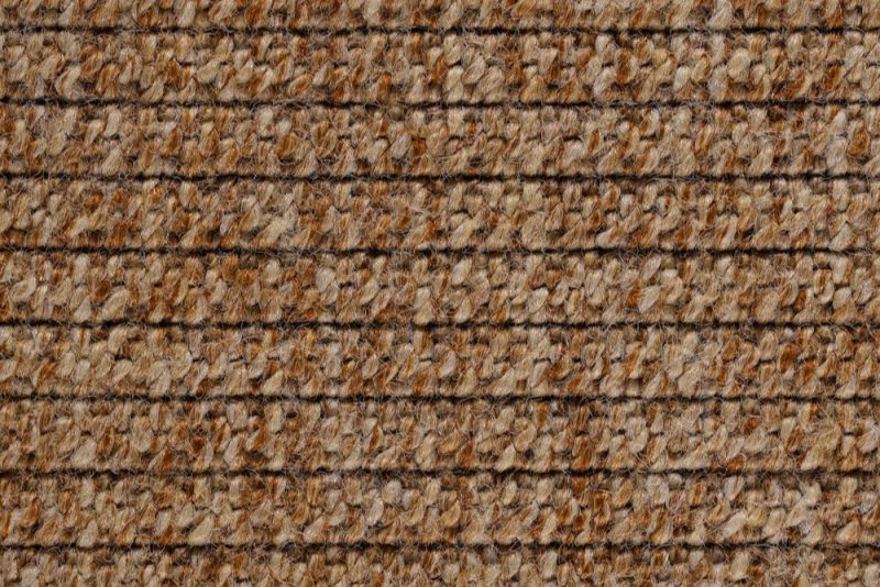 02 EDEN CORDA 150 E1699271018782 EDEN CORDA
