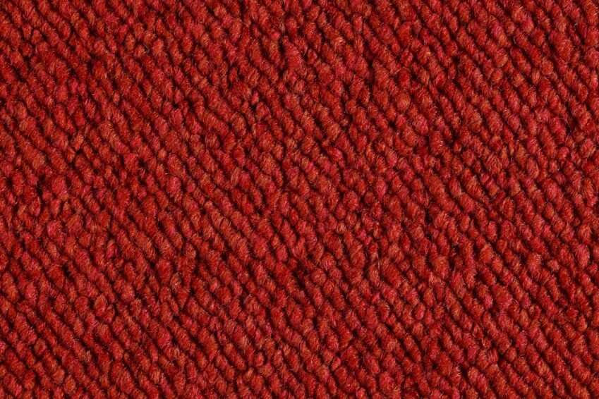 05 AMBIENTE GERANIO 2006 200