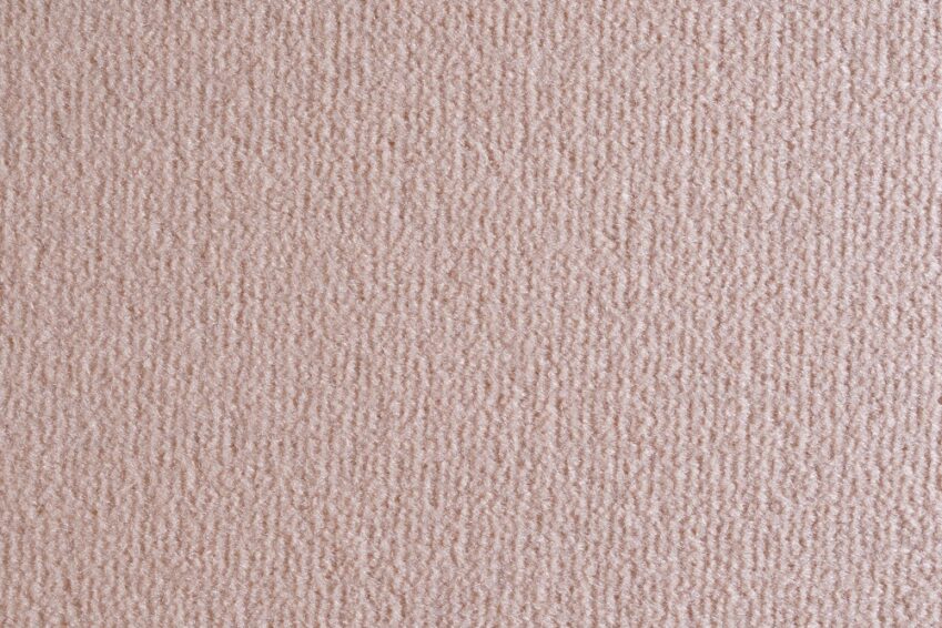 06 OCEANIA PAPAYA 2463 150 06 OCEANIA PAPAYA 2463 150