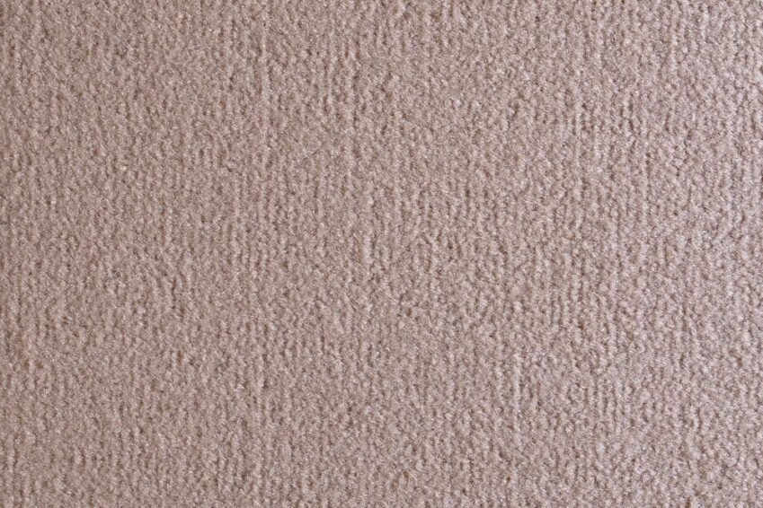 07 OCEANIA PANNA 2462 150 07 OCEANIA PANNA 2462 150