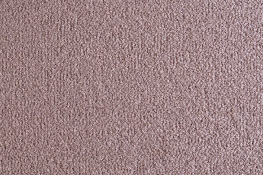 08 OCEANIA CASTORO 2103 150