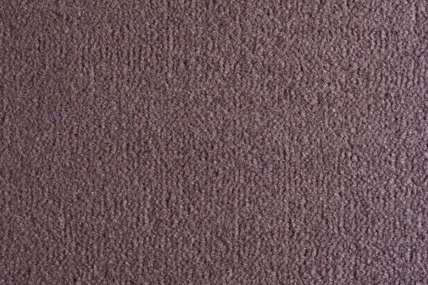 09 OCEANIA MARRONE 2009 500