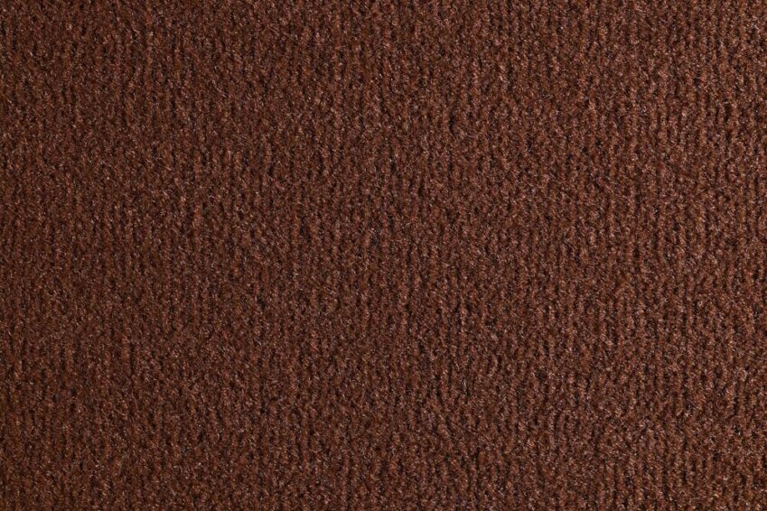 11 OCEANIA CAMOSCIO 2420 500 11 OCEANIA CAMOSCIO 2420 500