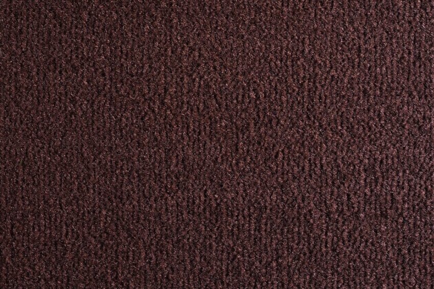 12 OCEANIA VISONE 2478 500