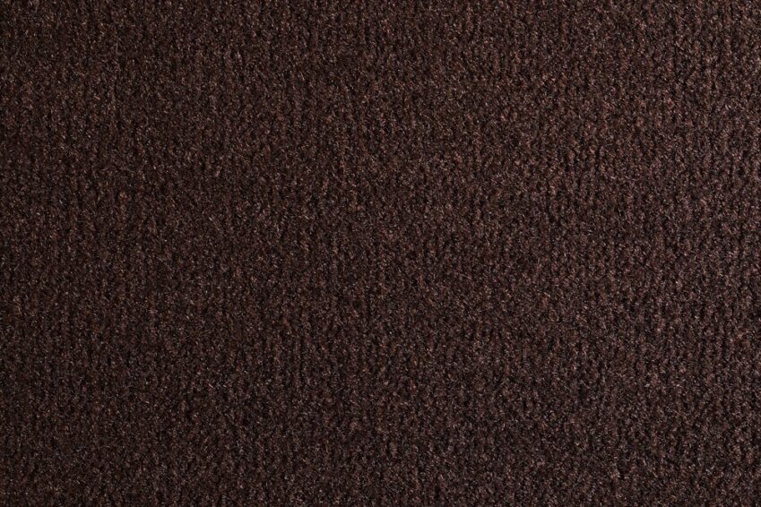 13 OCEANIA NOCCIOLA 2453 500 13 OCEANIA NOCCIOLA 2453 500