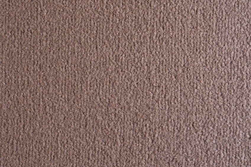 14 OCEANIA ANTILOPE 2410 150 14 OCEANIA ANTILOPE 2410 150