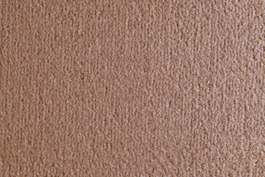 15 OCEANIA LEONE 2443 150 15 OCEANIA LEONE 2443 150