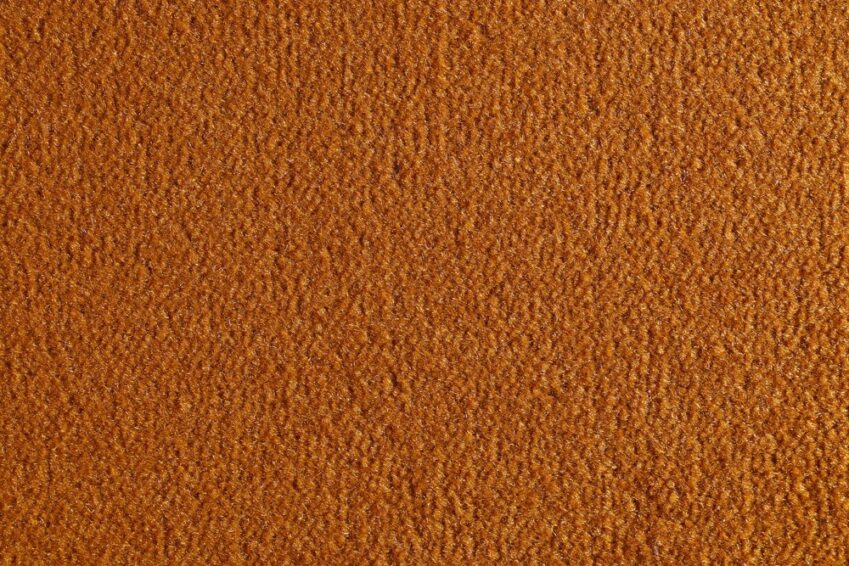 17 OCEANIA AMBRA 2408 290