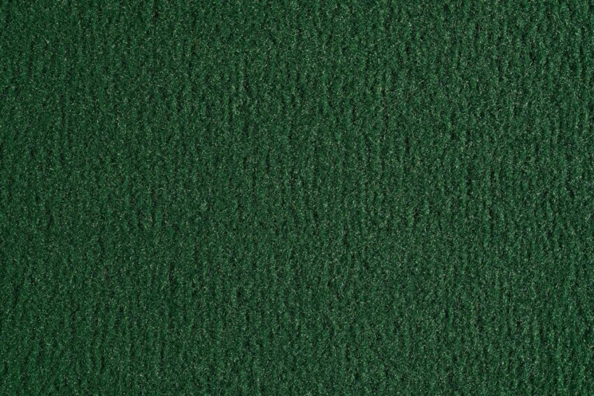 21 OCEANIA CEDRO 2422 42 21 OCEANIA CEDRO 2422 42