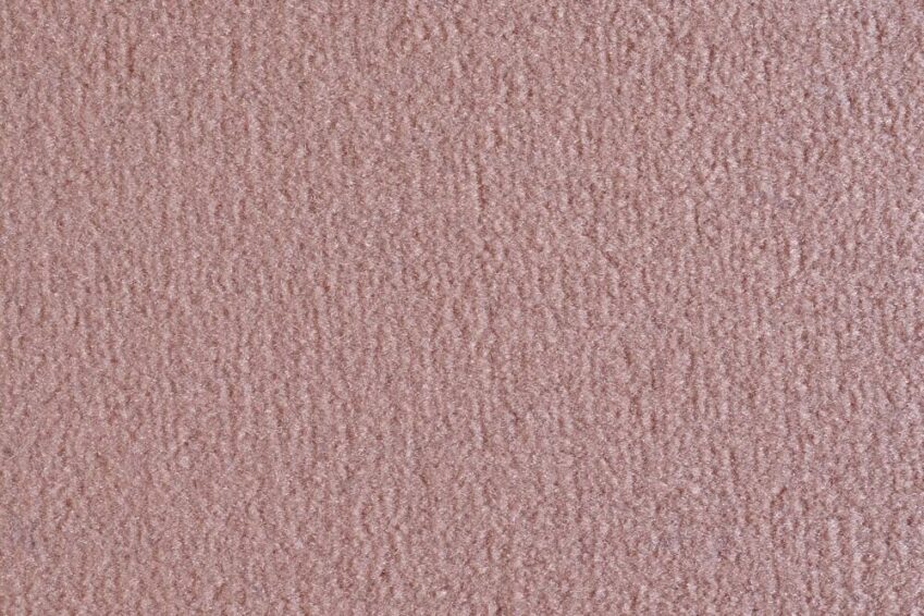 24 OCEANIA MANGO 2449 250