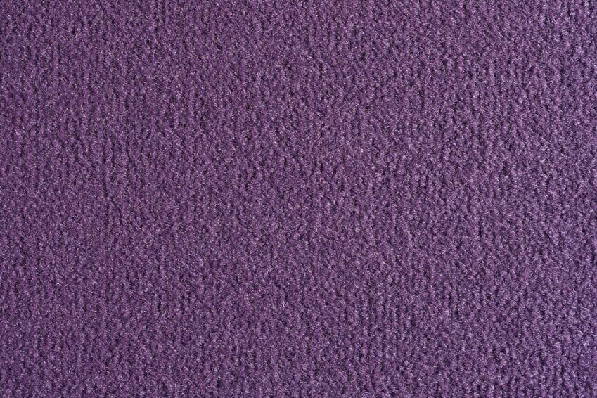 26 OCEANIA VIOLA 2477 700 26 OCEANIA VIOLA 2477 700