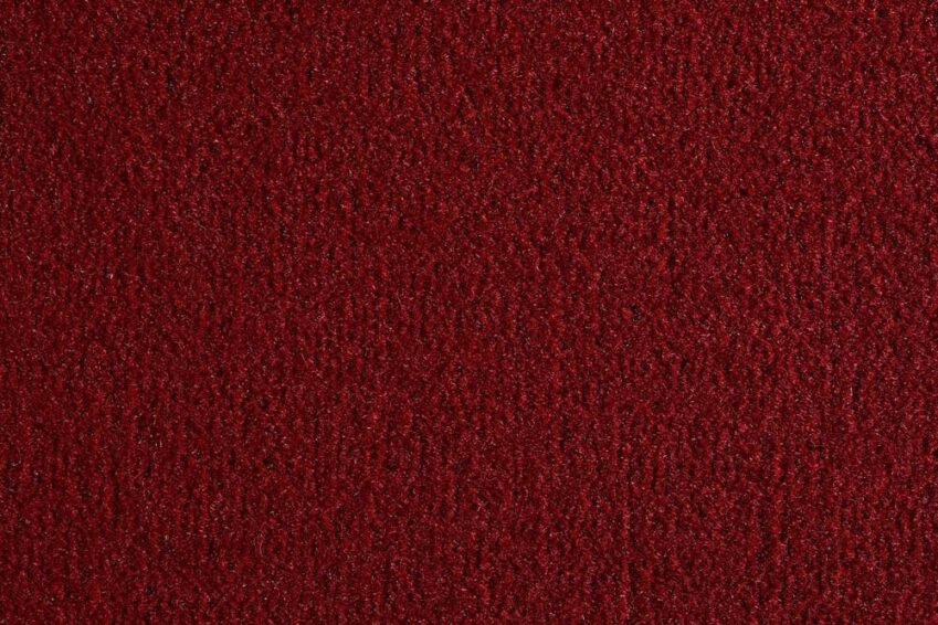 30 OCEANIA CARDINALE 2421 200 30 OCEANIA CARDINALE 2421 200