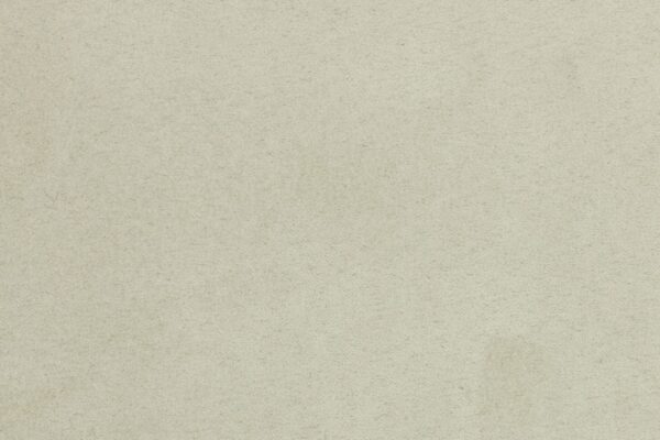 SUPERSUEDE BONE