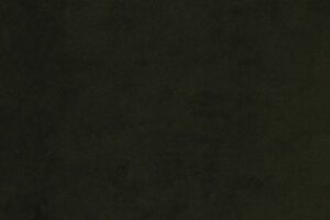 SUPERSUEDE FOREST NIGHT