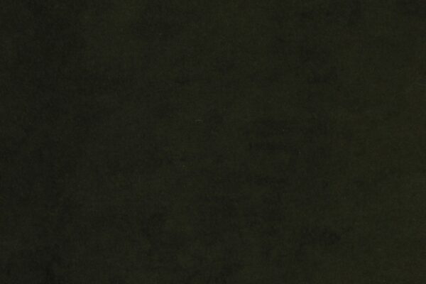 SUPERSUEDE FOREST NIGHT