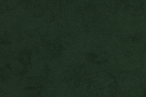 SUPERSUEDE GREEN