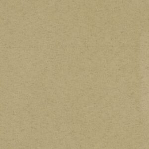 SUPERSUEDE SANDY