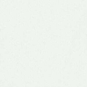 SUPERSUEDE WHITE