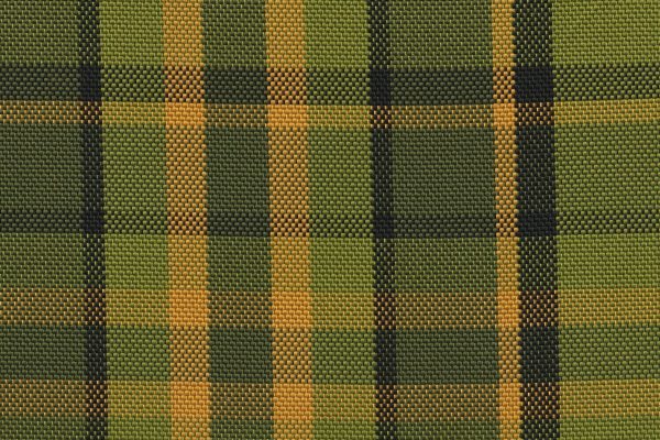 GRIGLIA WESTFALIA Verde/Giallo/Nero