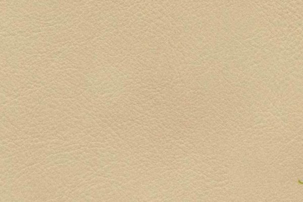 OLDTIMER NAPPA – CAMEL