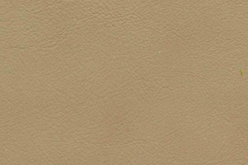 Oxford Matt Lion 312 1 Oxford Matt Lion 312 1